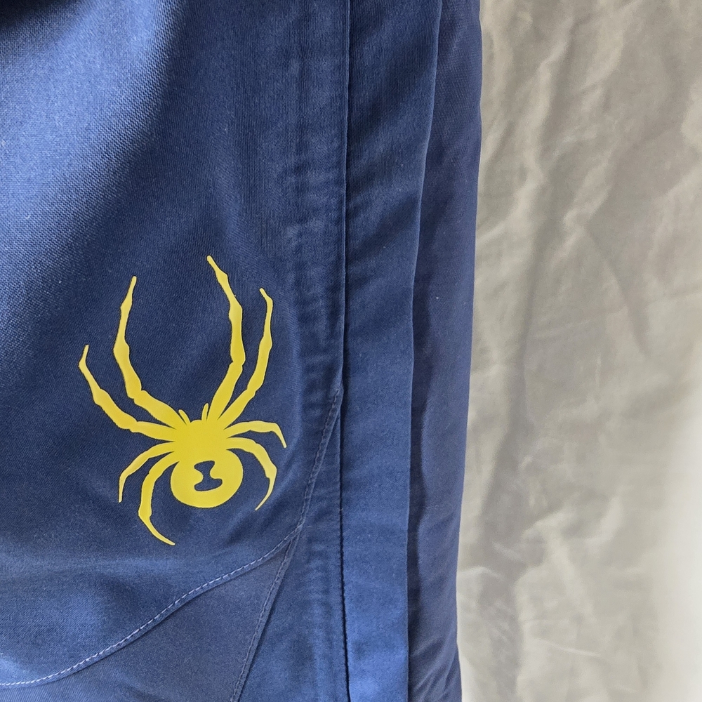 Spyder Gor-Tex USST Alpine Tarantula Ski Pants - Picture 12 of 15